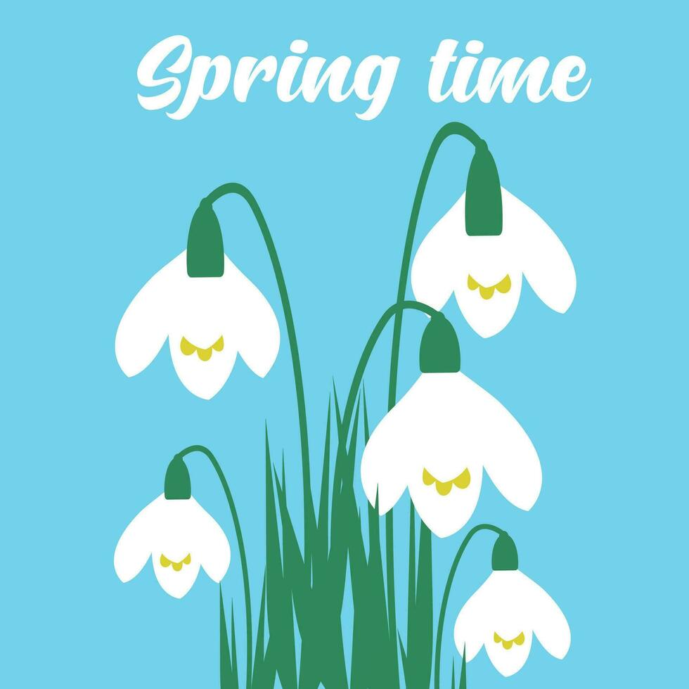 Spring time. Blooming snowdrops flowers in blue background. Spring beautiful wildflower. Greeting card, poster, banner, social media template. Vector illustration