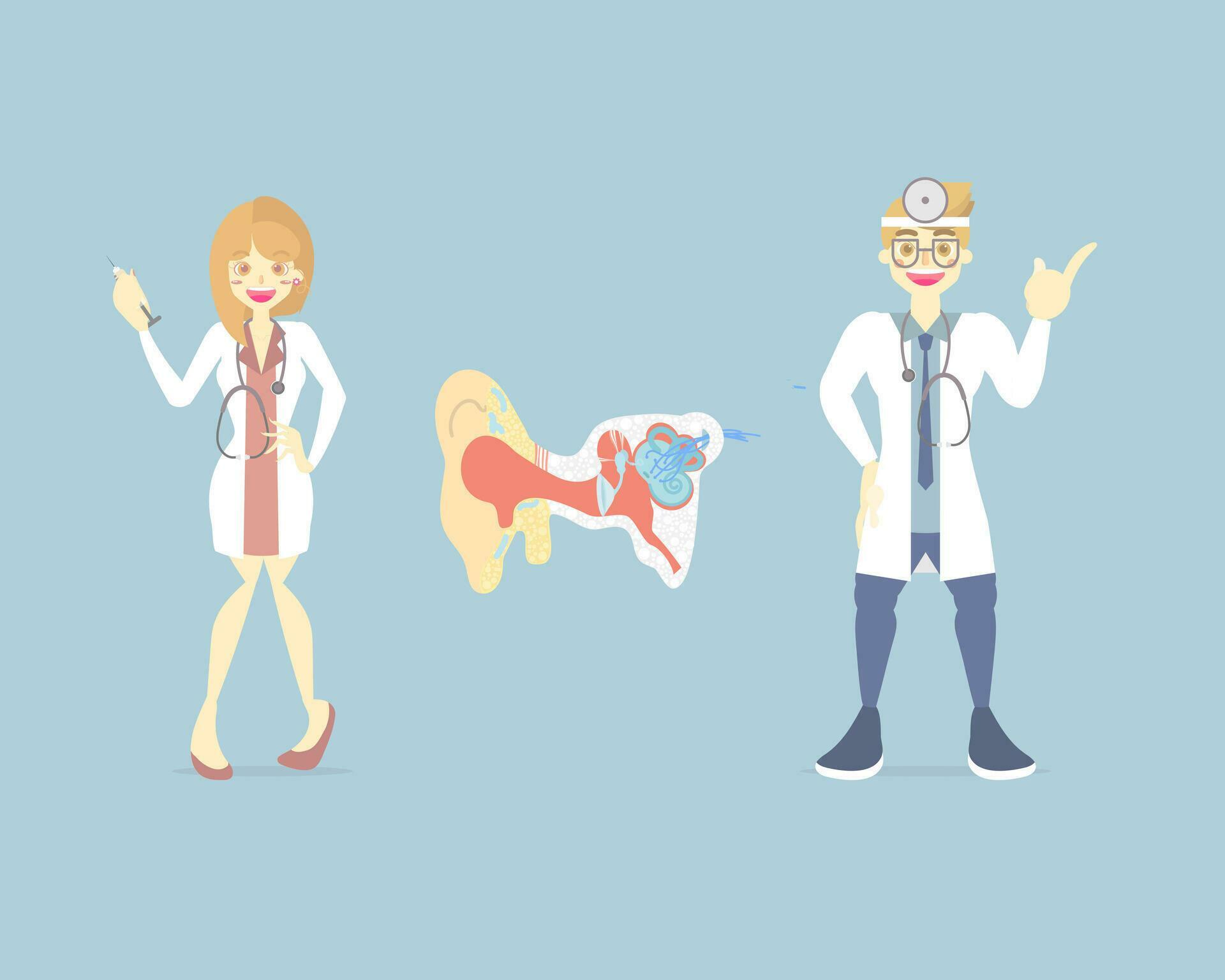 Anatomy of ear, internal organs anatomy body part nervous system ...