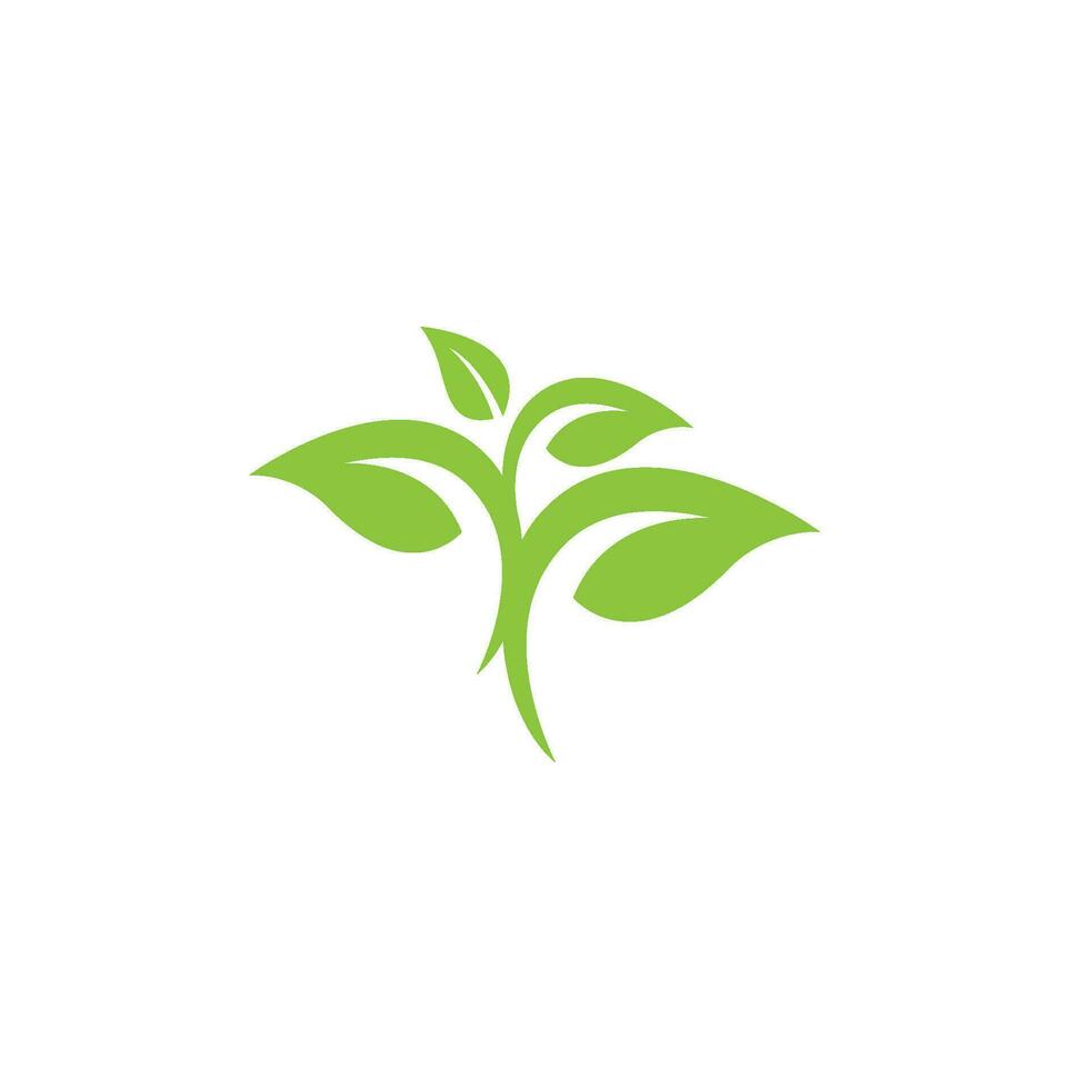 logotipos de la ecología de la hoja del árbol verde vector