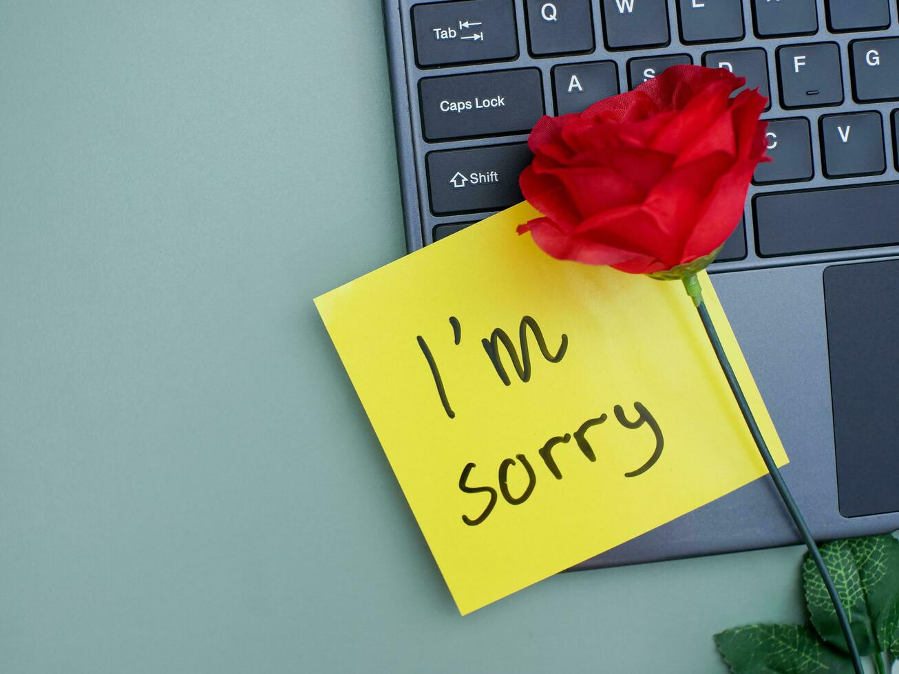 Top view of words i'm sorry written on sticky note on laptop keyboard with roses photo