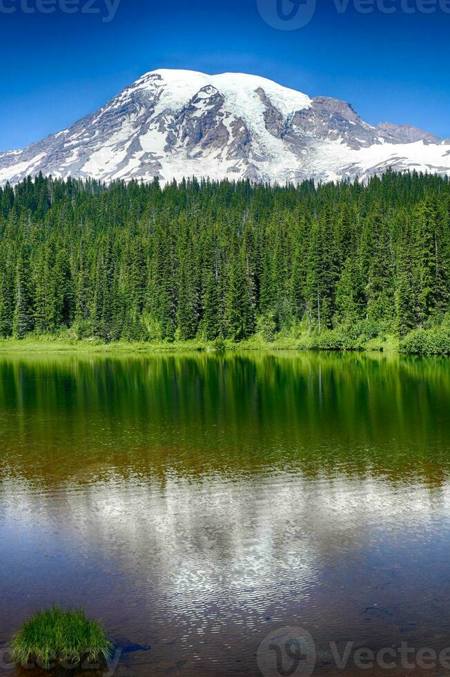 Mt Rainier mirrored in Reflection Lake photo