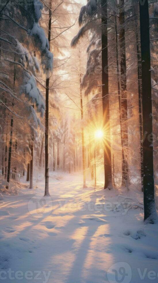 AI Generated a snowy forest adorned with sparkling snow, bathed in the gentle glow of sun rays. photo