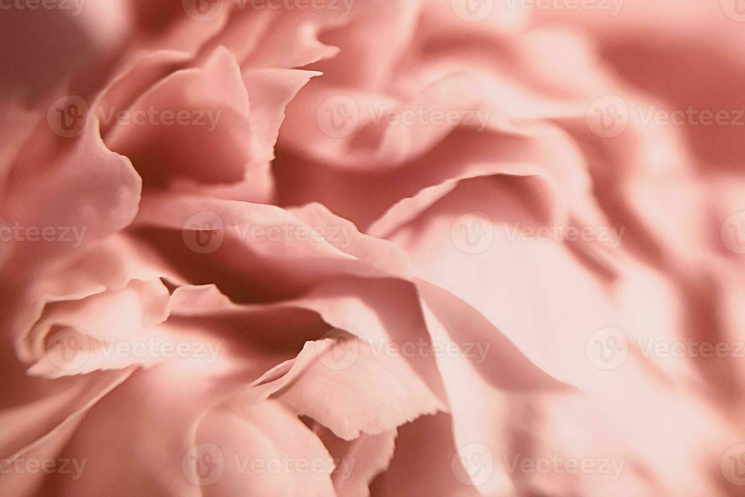 Macro photography of a peony. Beautiful pink delicate background with flower petals. photo