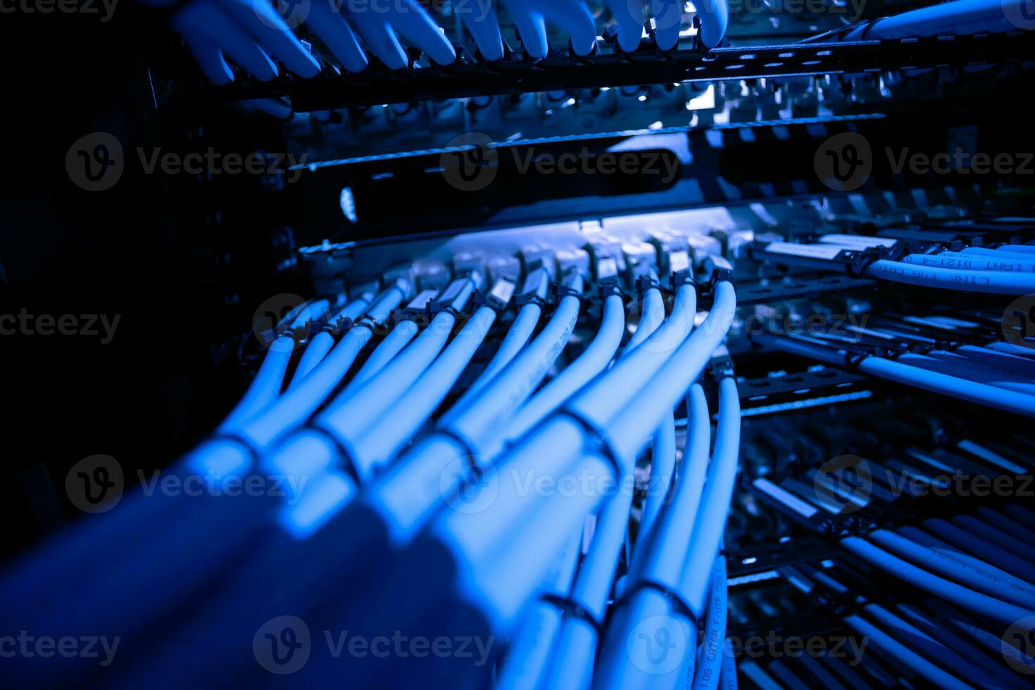 el corazón y importancia de un red servidor es un importar de sensación Derecha y rápido en el operación de el computadora foto