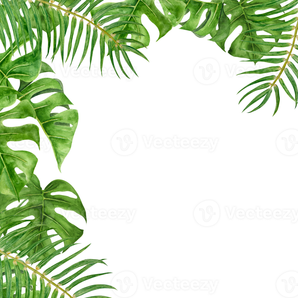 verde palma e Monstera le foglie. acquerello mano disegnato telaio di tropicale pianta per viaggio guide, cosmetici, terme, massaggio salone stampe, nozze inviti, carte, Imballaggio. giungla liana clip arte. png