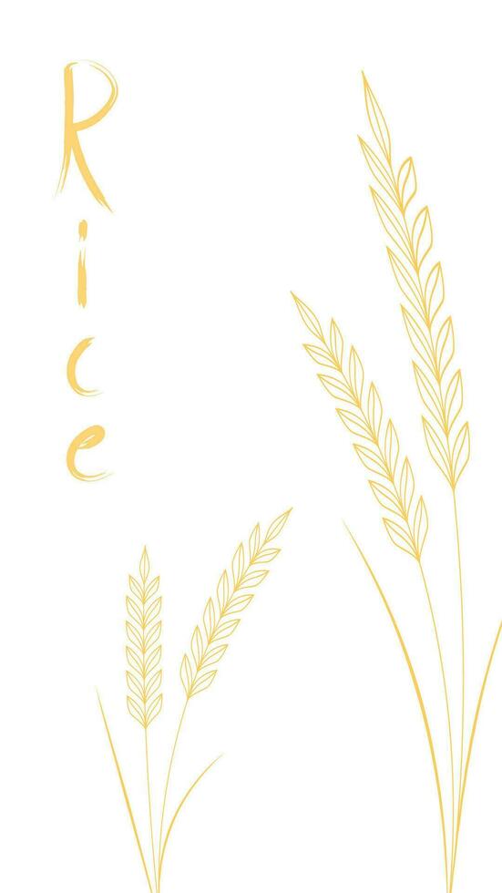 Rice symbol. Wheat symbol vector. wallpaper. logo design. vector