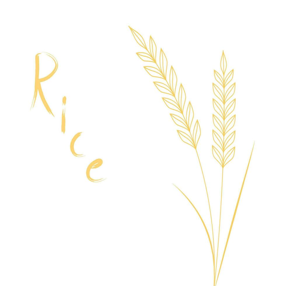 Rice symbol. Wheat symbol vector. wallpaper. logo design. vector