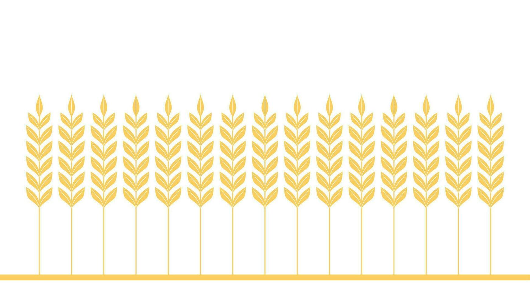 Wheat pattern wallpaper. oat symbol. free space for text. rice sign. Rice pattern wallpaper. vector