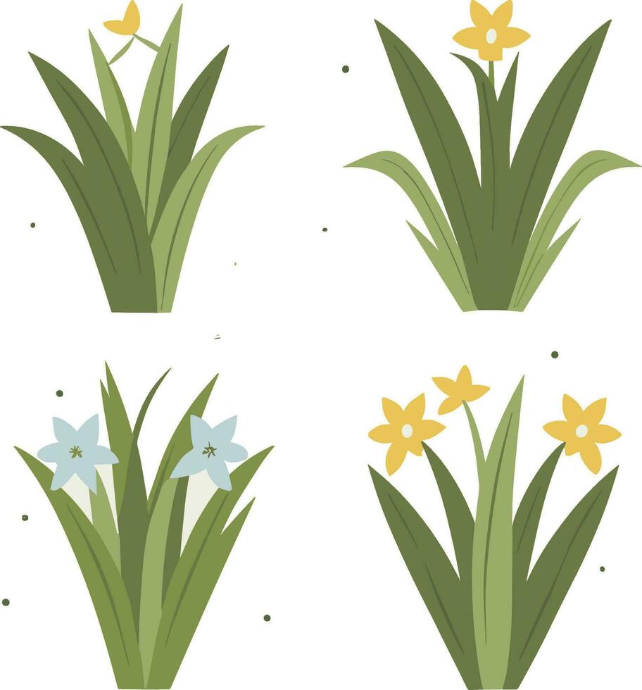 four different types of grass vector