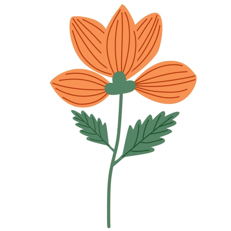 Vibrant orange flower on a white background vector