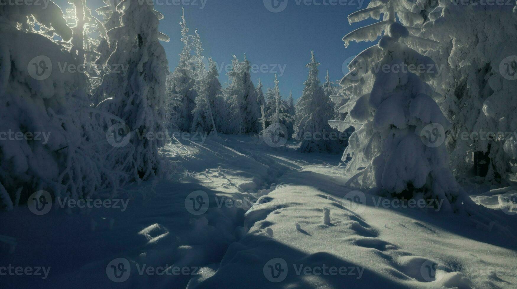 AI generated A serene winter scene of a snowy forest with tall trees covered in snow, creating a picturesque landscape. Generative AI photo