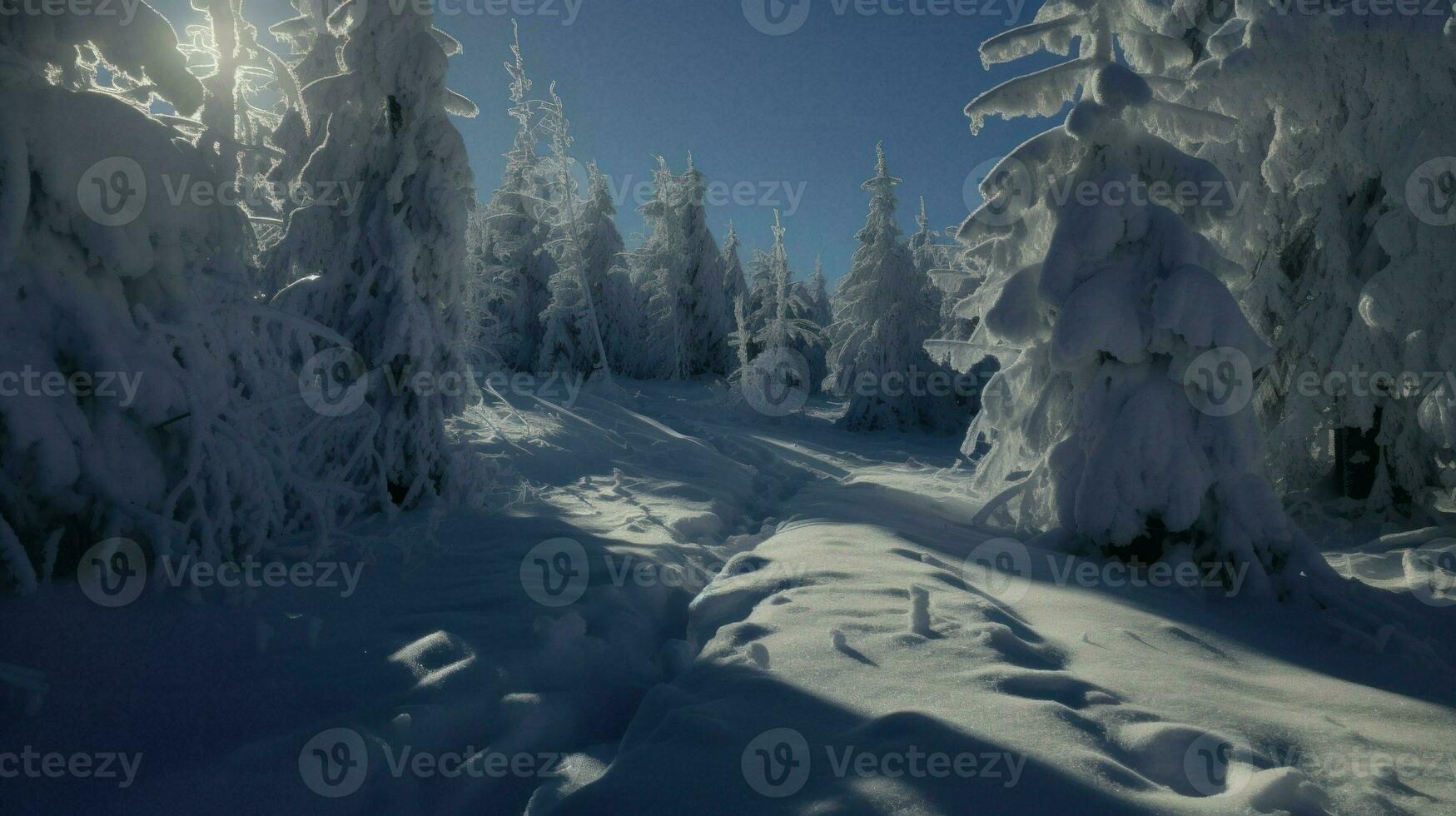 ai generado un sereno invierno escena de un Nevado bosque con alto arboles cubierto en nieve, creando un pintoresco paisaje. generativo ai foto