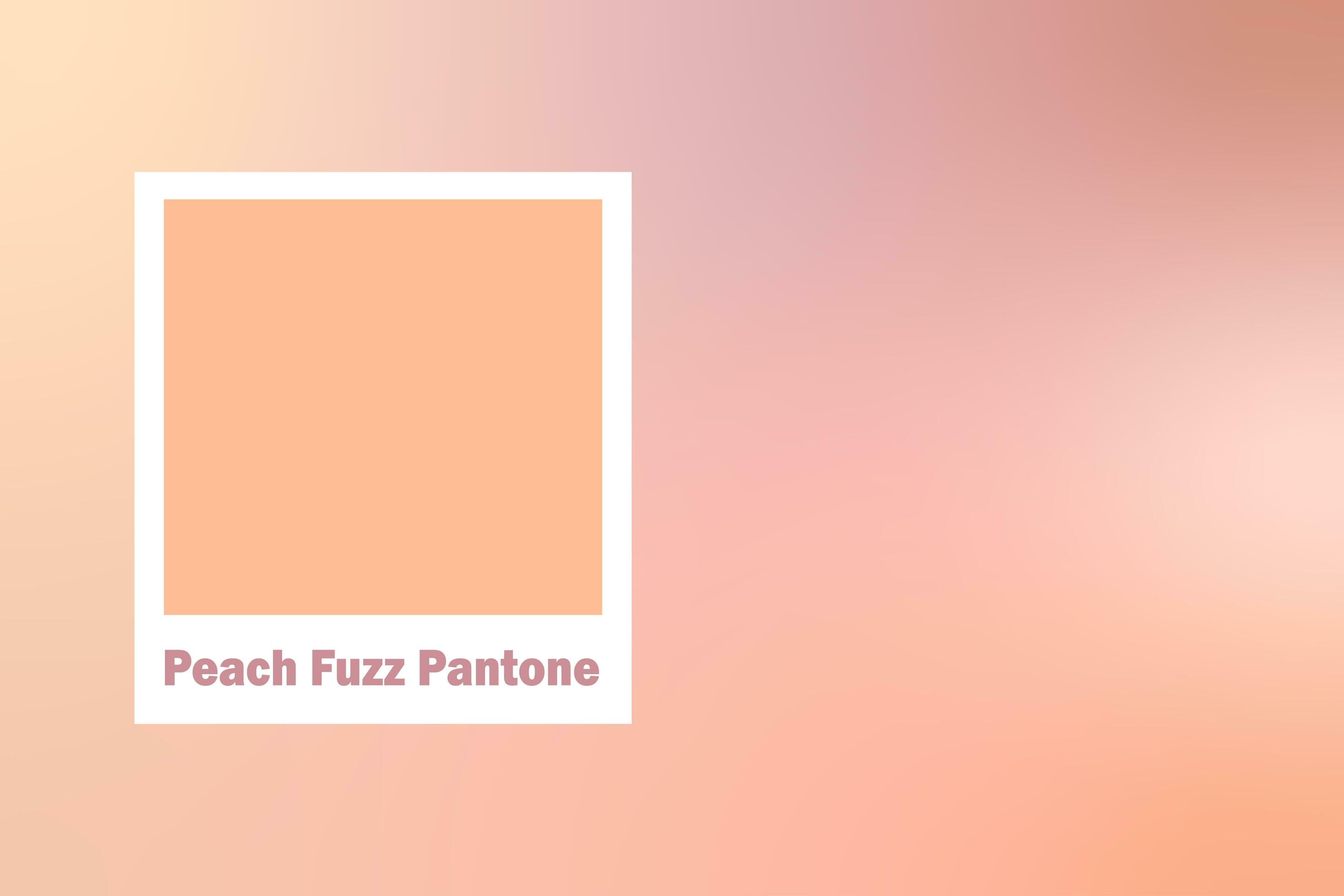 Trendy color of year 2024 - Peach Fuzz. Trendy color palette sample.  Abstract floral pattern swatch colors collage. Peach Fuzz new trend  35313363 Stock Photo at Vecteezy