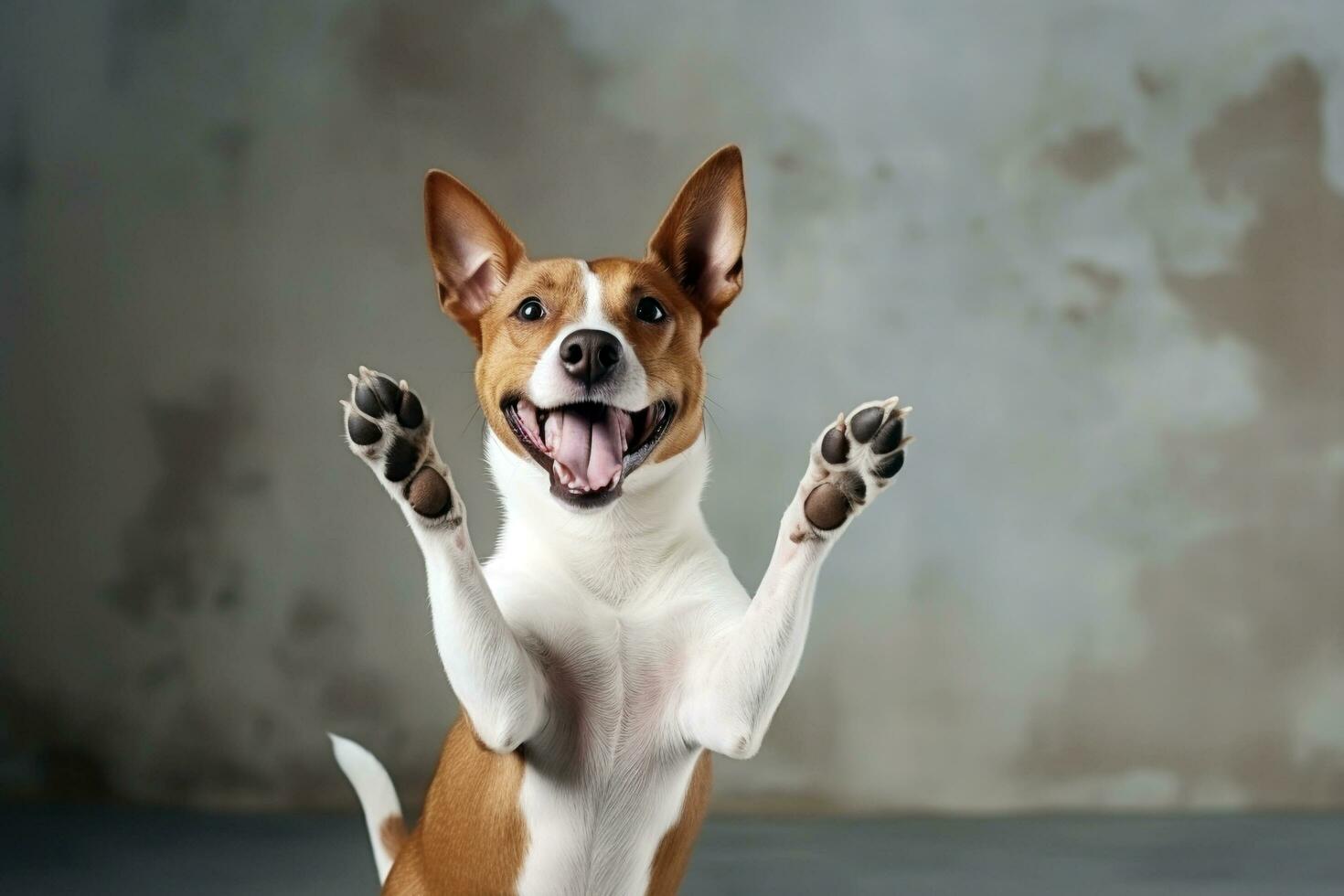 AI generated Adorable Brown and White Dog Smiling and Spreading Cheer photo