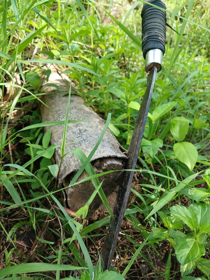 agudo machete con de madera tocón antecedentes. machete en de madera antecedentes. foto