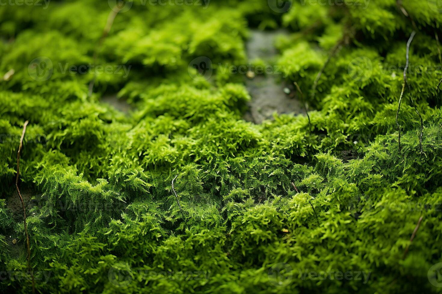AI generated Moss texture. Natural background with copy space. Generated by artificial intelligence photo