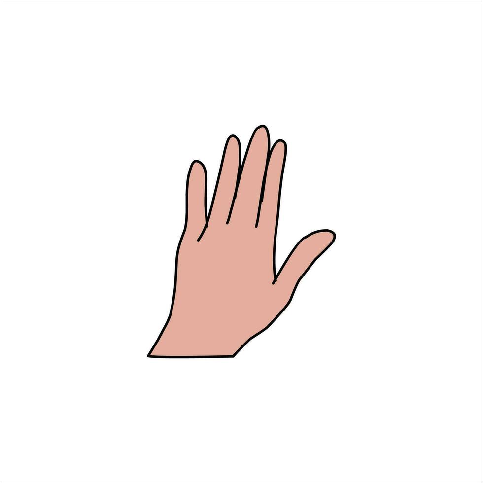 Aquarium Hand vector illustration. Female hands holding and pointing gesture, crossed fingers, fist, peace and thumbs up. Cartoon human palm and wrist vector set. hand sign language for the deaf