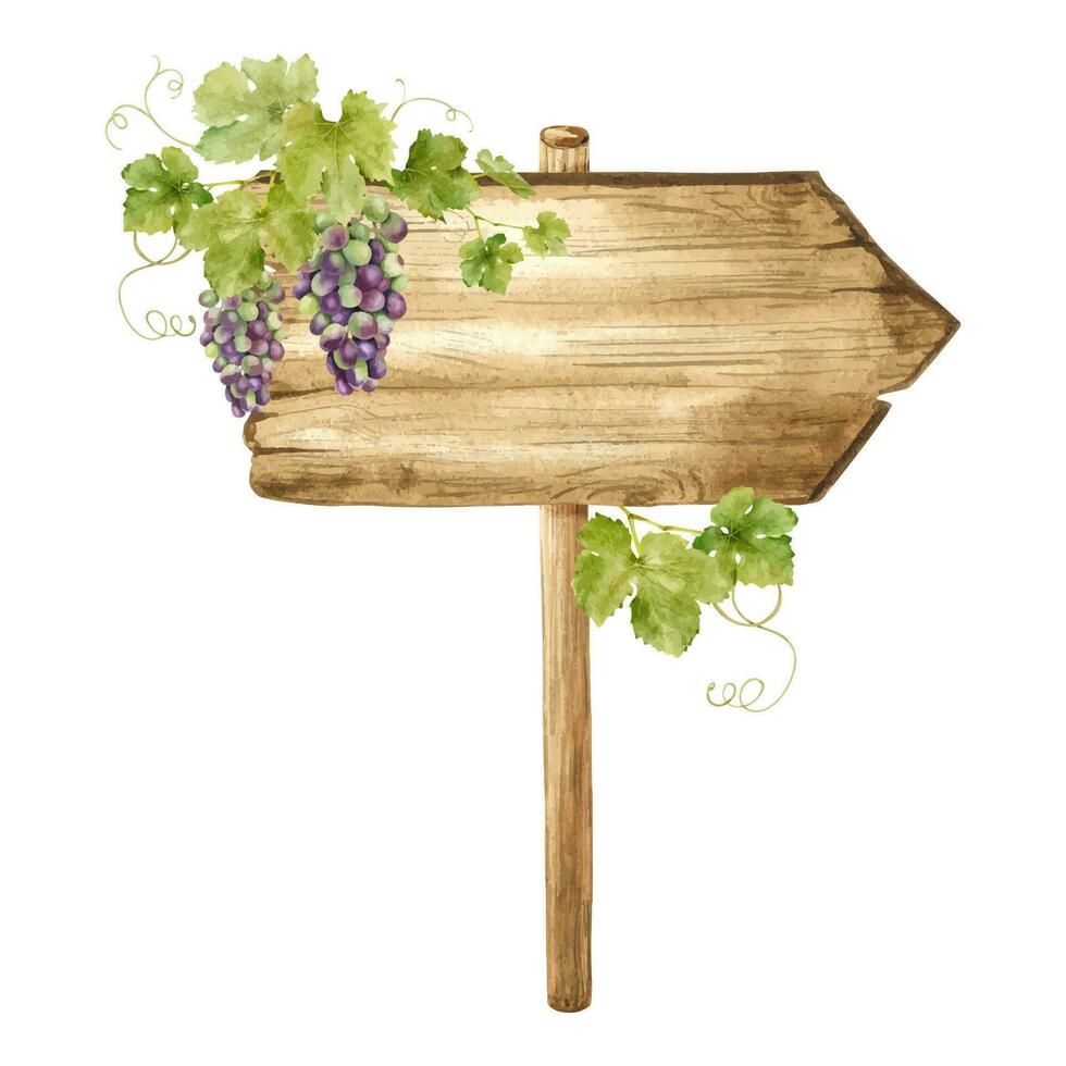Wooden signboards for grape plantations, vineyards. Wood board with bunches of grapes and leaves. Signboard with grapevine. Isolated watercolor illustrations. For postcards, marketing, invitations. vector