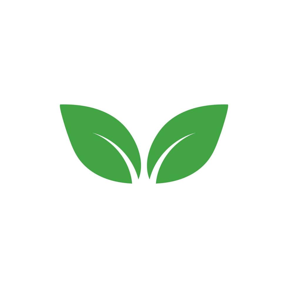 Leaf vector illustration