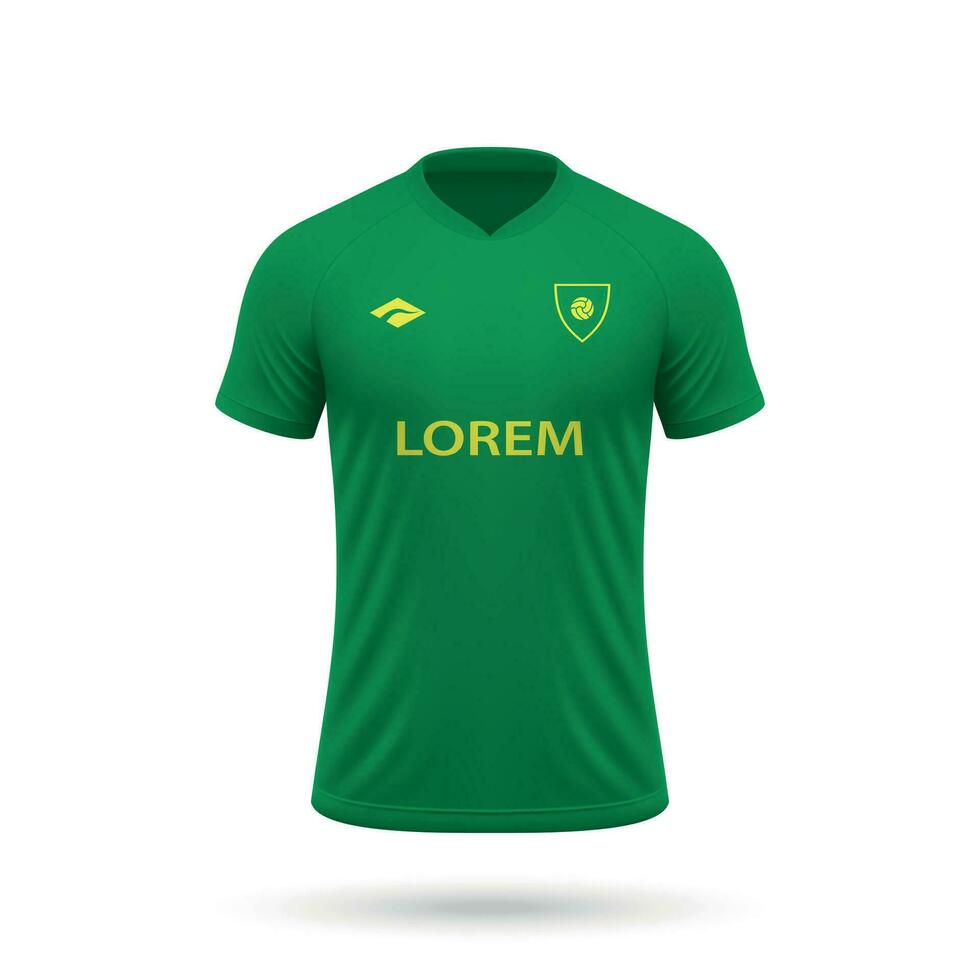 3d realistic soccer jersey vector