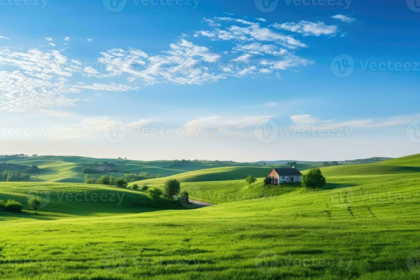 AI Generated View horizon background spring rural land field beautiful pasture country sky grass photo