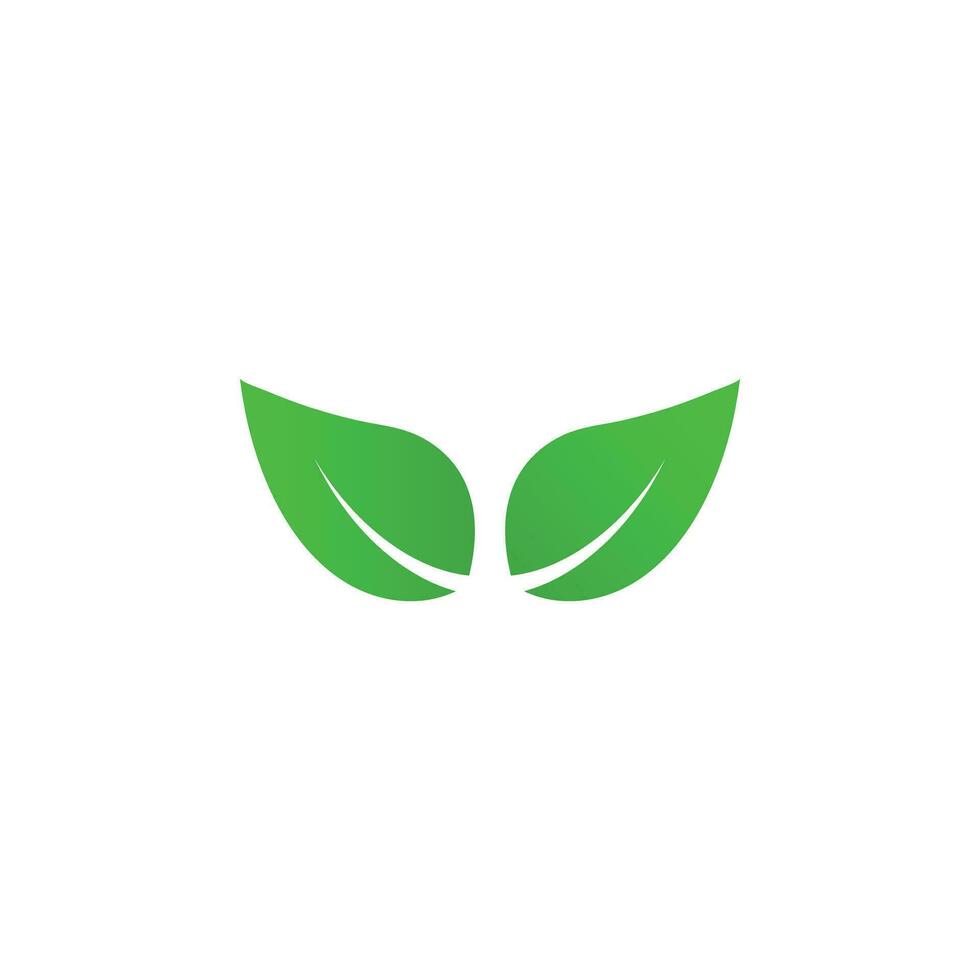 Leaf vector illustration