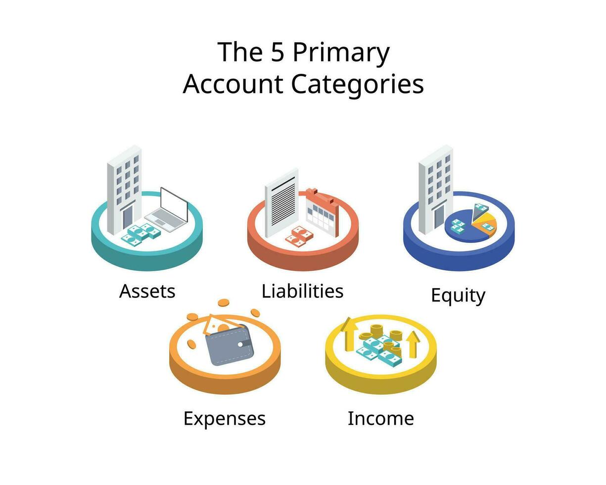 The 5 primary account categories are assets, liabilities, equity, expenses, and income or revenue vector