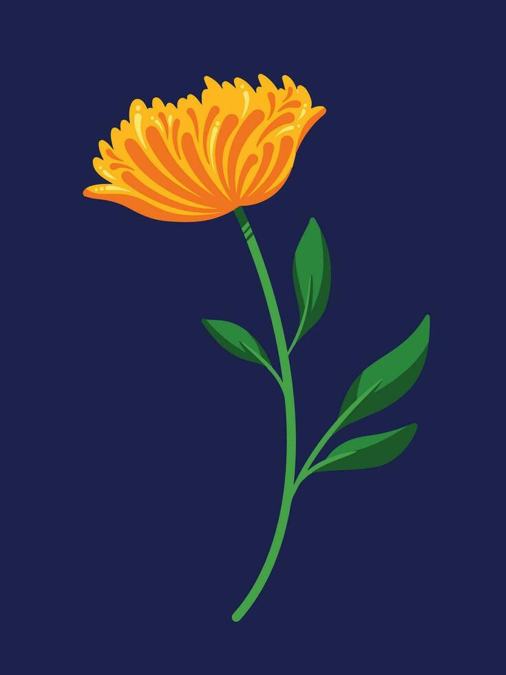 Yellow orange petals one single flower with green stem and leaves vector illustration isolated on vertical dark blue background. Simple flat cartoon art styled full colored drawing. Calendula floral.