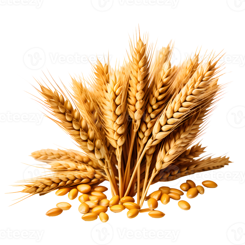 ai generato orecchio di Grano spighetta isolato su bianca sfondo png