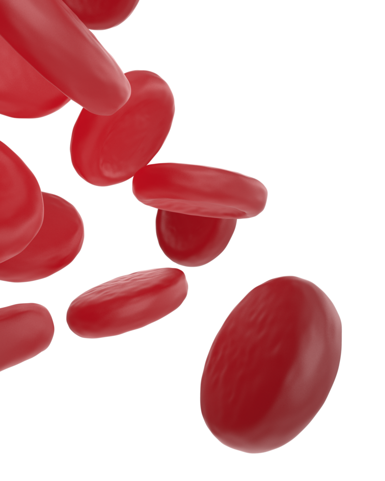 Red cells scene isolated on background. 3d rendering - illustration png