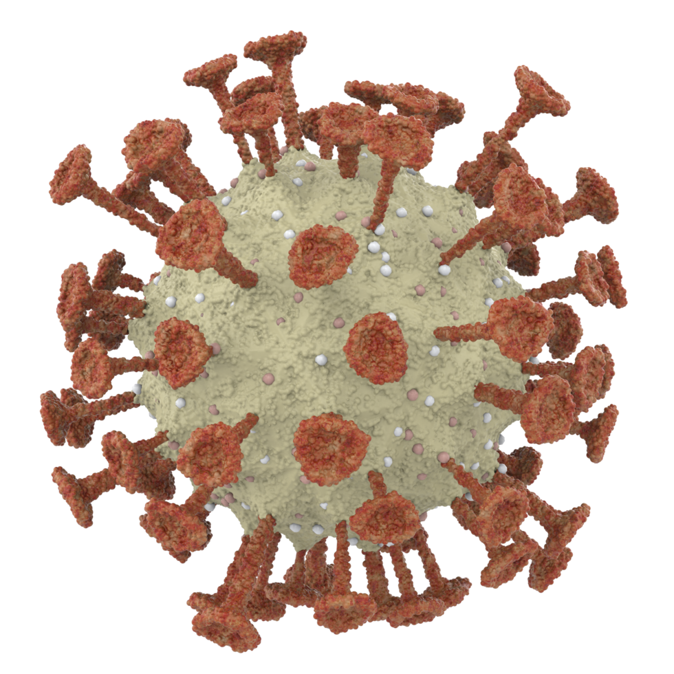 Virus isolated on background. 3d rendering - illustration png