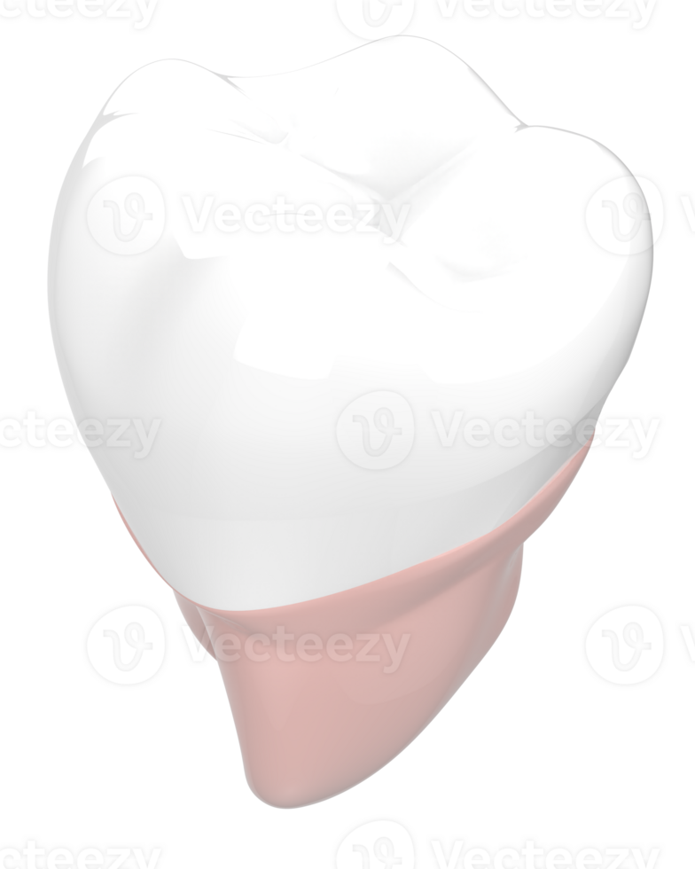 Tooth implant isolated on background. 3d rendering- illustration png