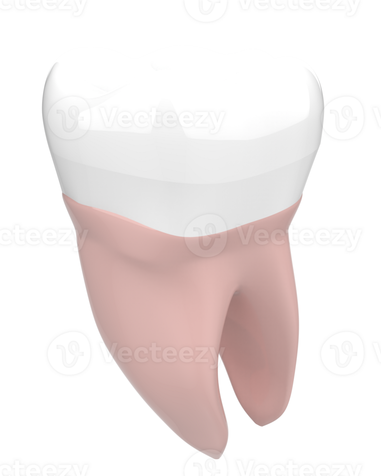 Tooth implant isolated on background. 3d rendering- illustration png