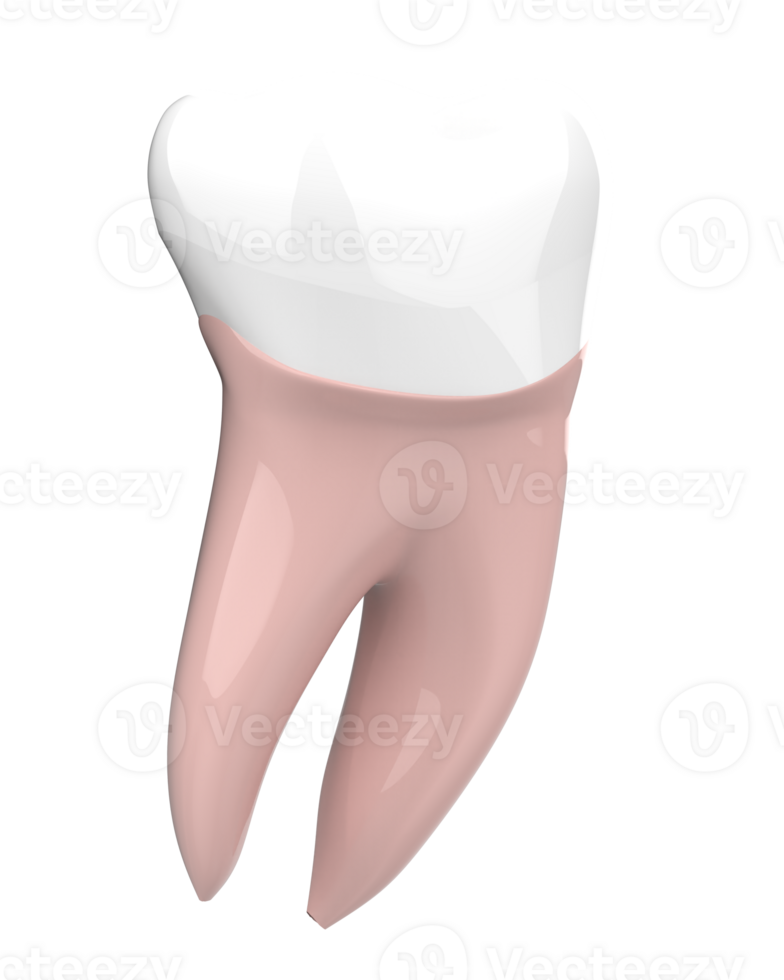 Tooth implant isolated on background. 3d rendering- illustration png