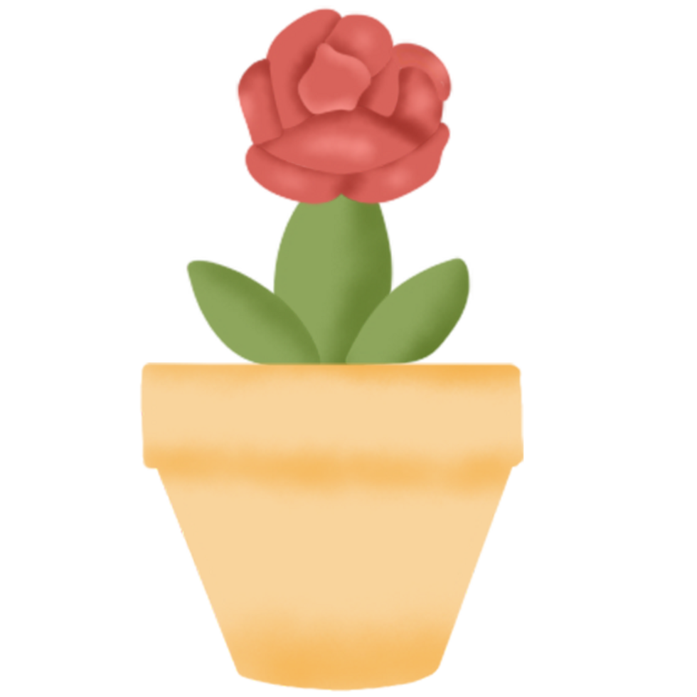 indoor plants illustration png