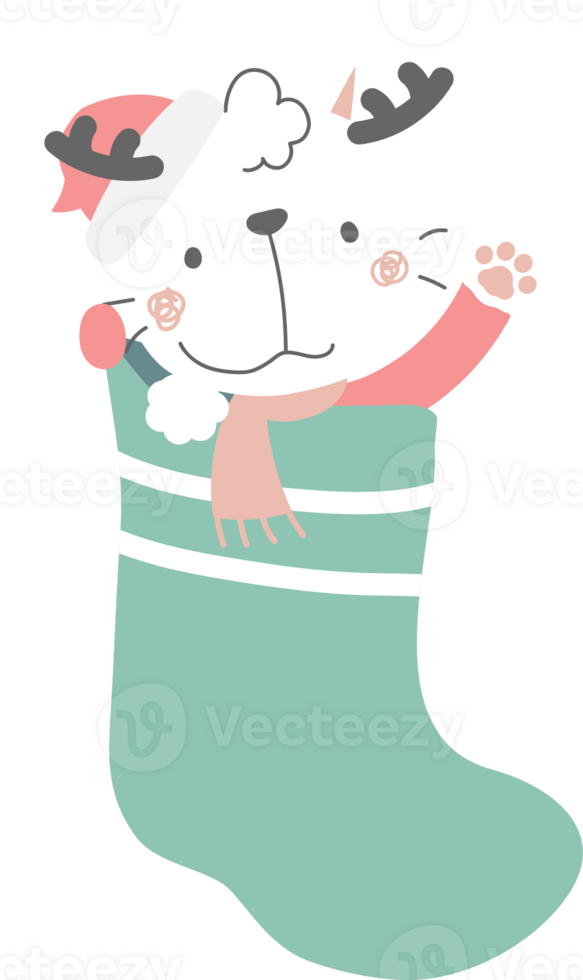 joyeux Noël et content Nouveau année avec mignonne chat dans chaussette, plat png transparent élément dessin animé personnage conception