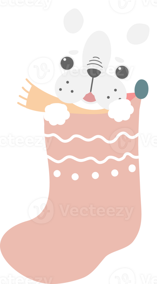 merry christmas and happy new year with cute dog in sock, flat png transparent element cartoon character design