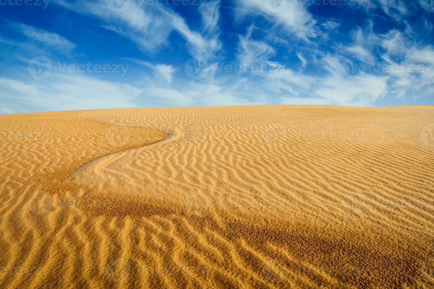 Desert sand dunes on sunrise photo