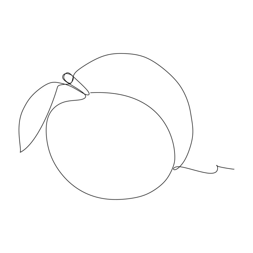 Continuous one line drawing of an peach fruit on a white background vector