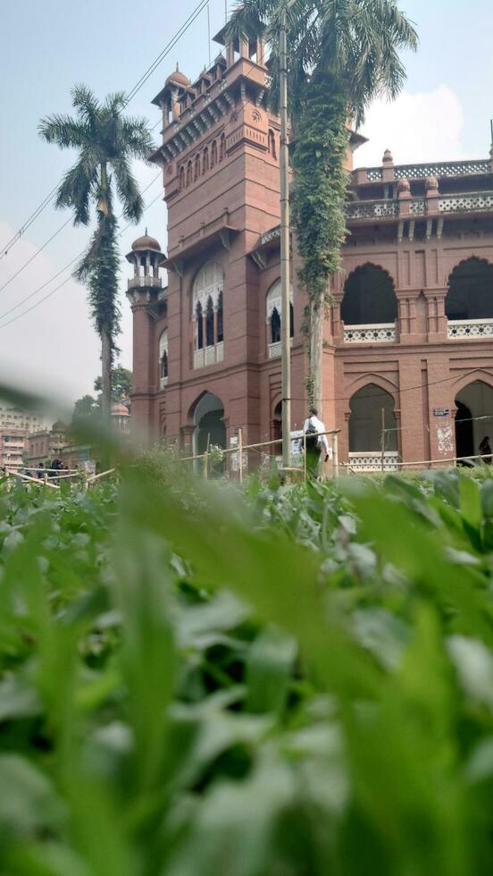 Dhaka University is located in Dhaka, Bangladesh. Aparajeyo Bangla is a sculpture commemorating the 1971 Bangladesh Liberation War. It is situated on the Dhaka University campus. photo