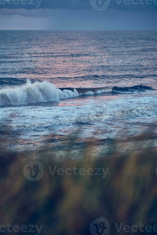 Dune at the danish coast with the north sea in the background photo