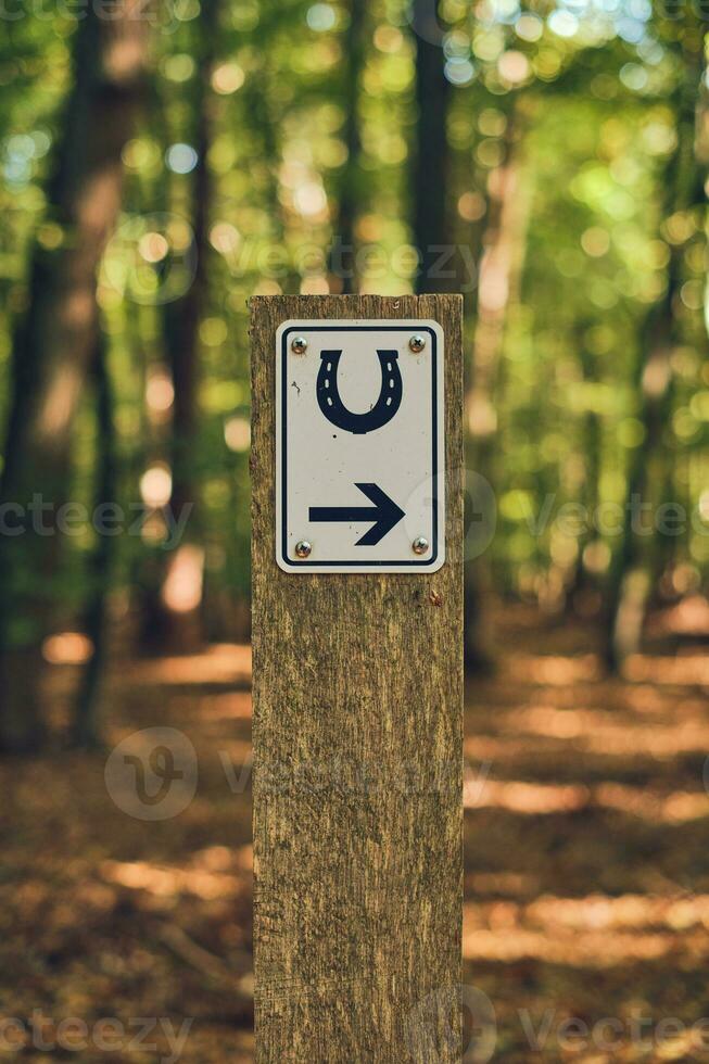 Riding path sign in the woods photo