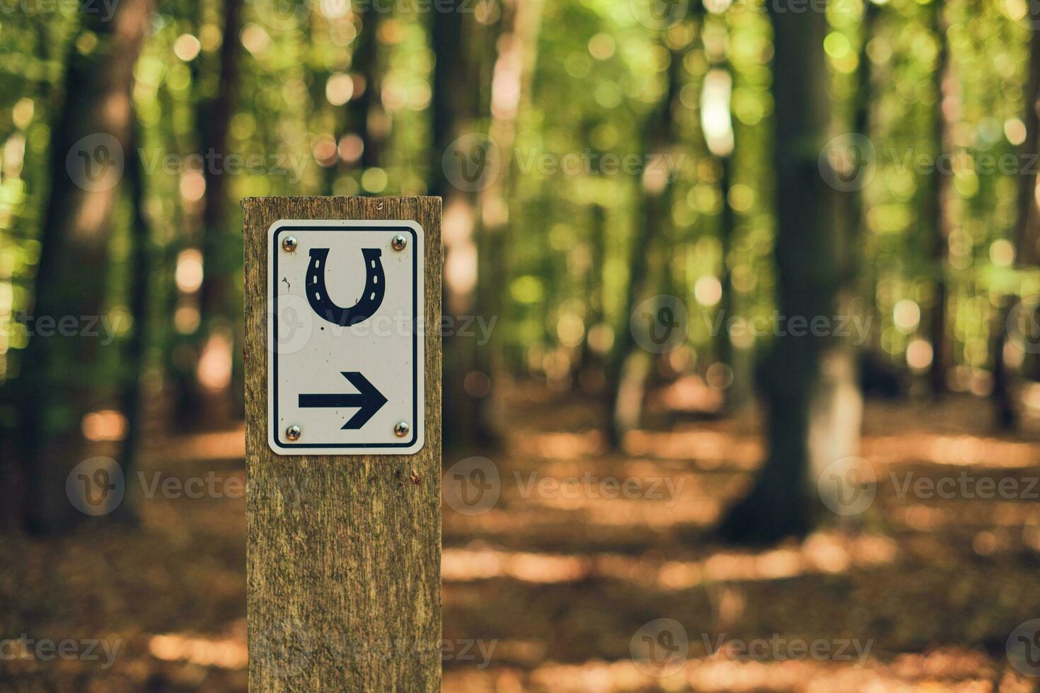 Riding path sign with arrow photo