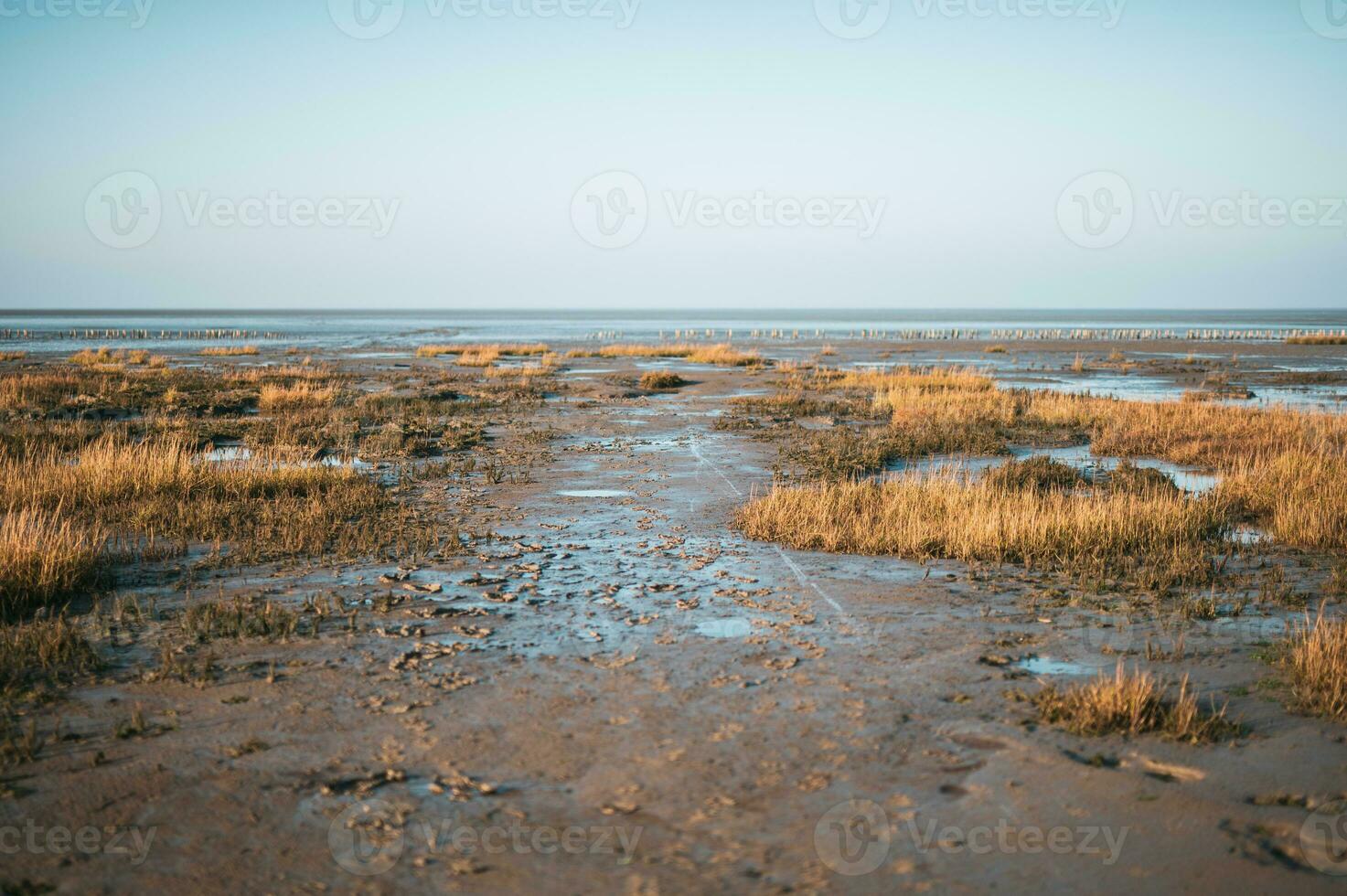 Low Tide Stock Photos, Images and Backgrounds for Free Download