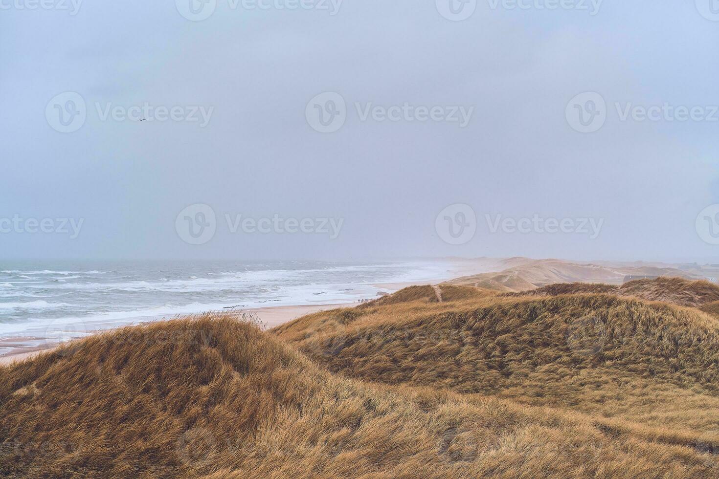 Overcast weather at the Coast in Denmark photo