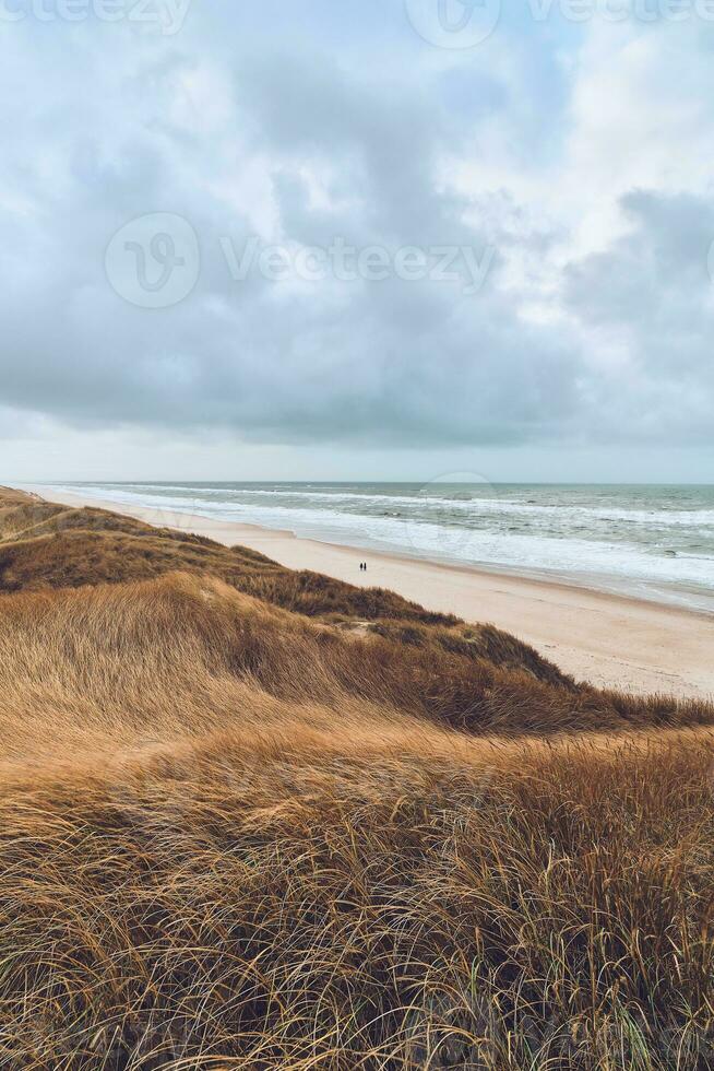 Overcast day at the Dunes in Denmark photo
