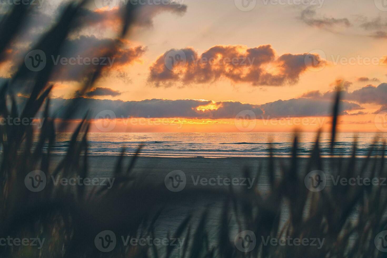 Warm sunset at the coast in northern Denmark photo