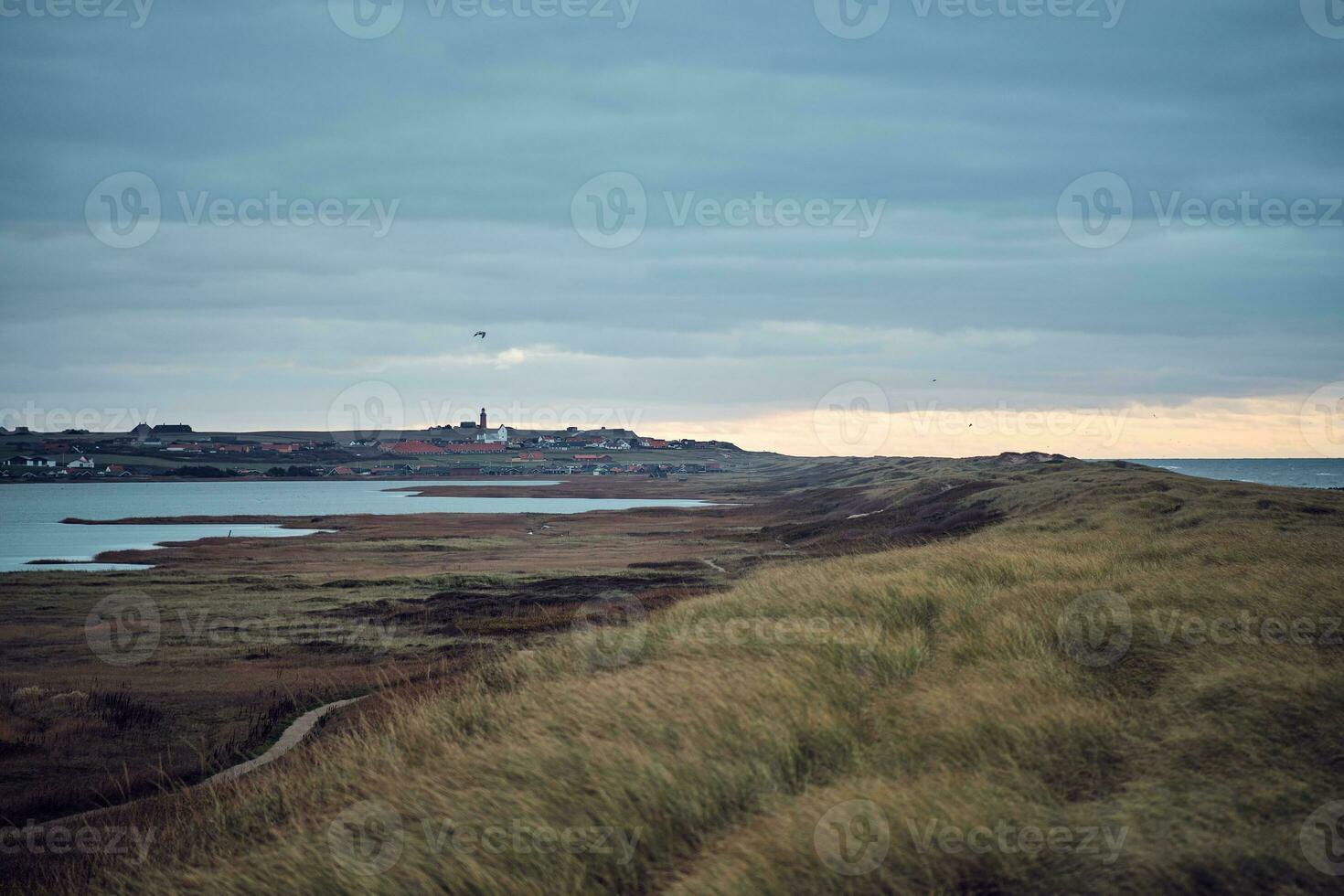 ver terminado vejlby klit a el danés norte mar costa foto