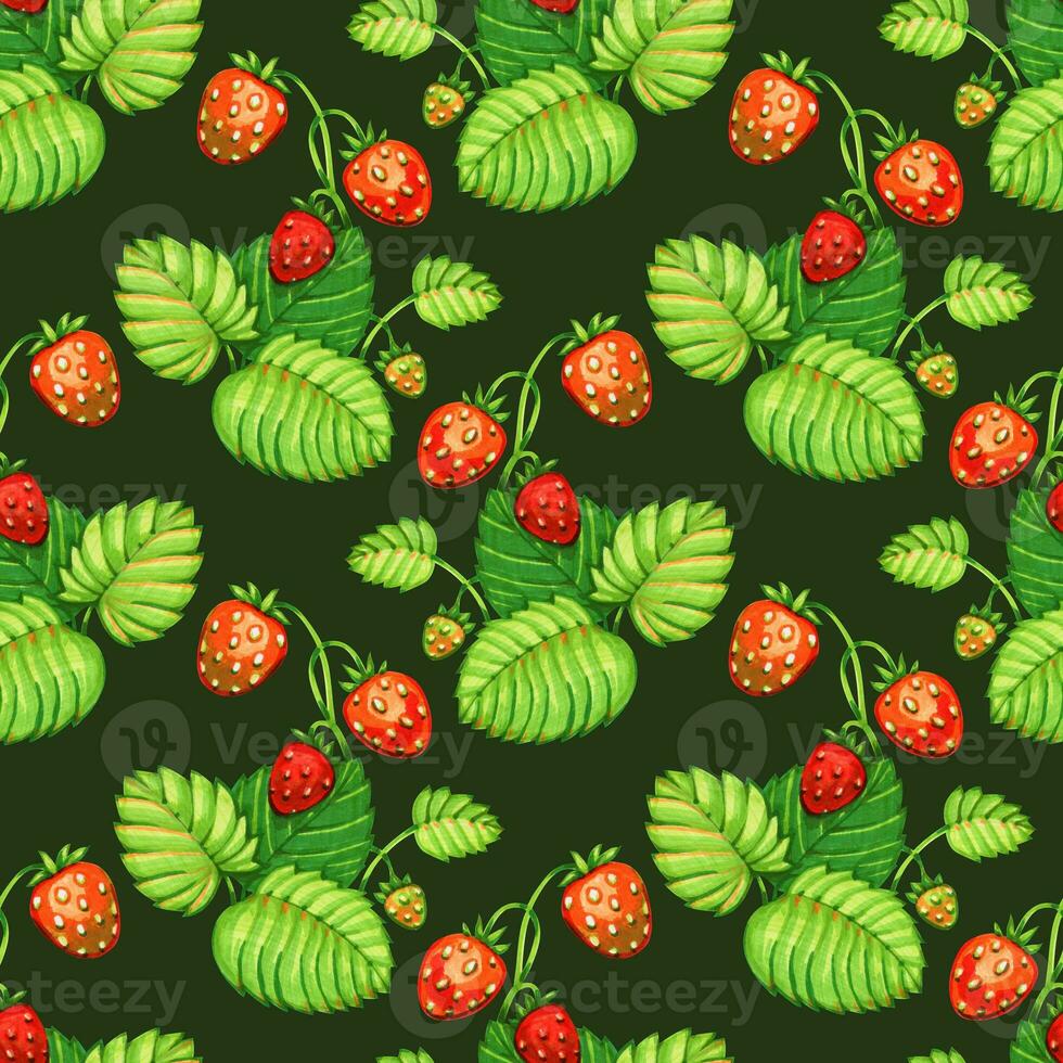 Seamless floral ornamental pattern. Strawberry with berries on a dark green background.  illustration. photo