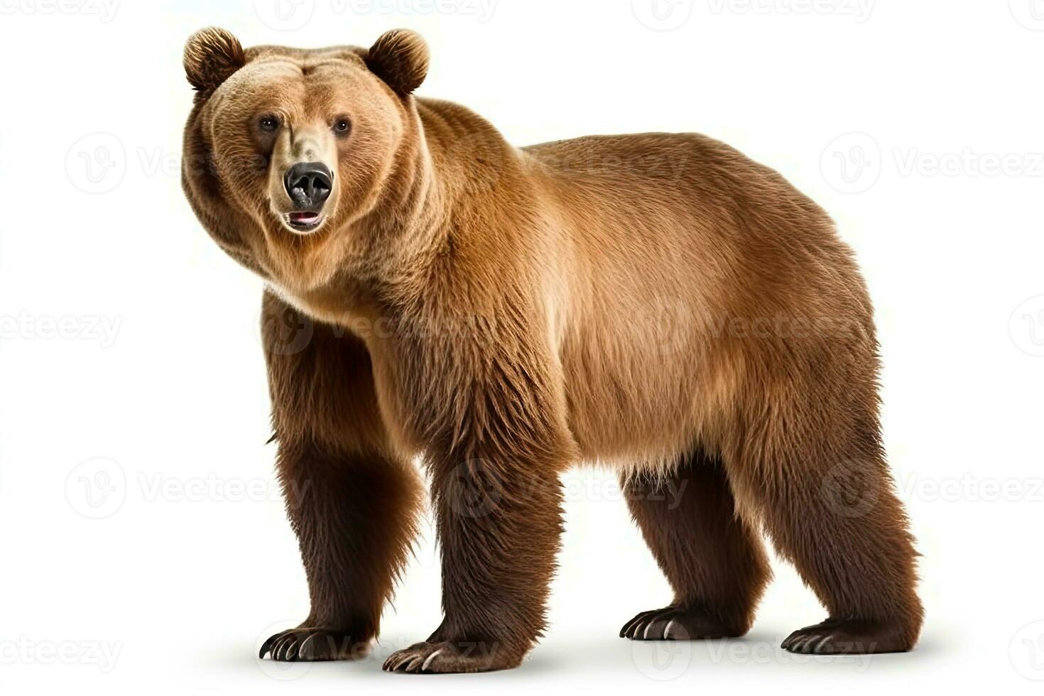 AI generated Brown bear clipart photo